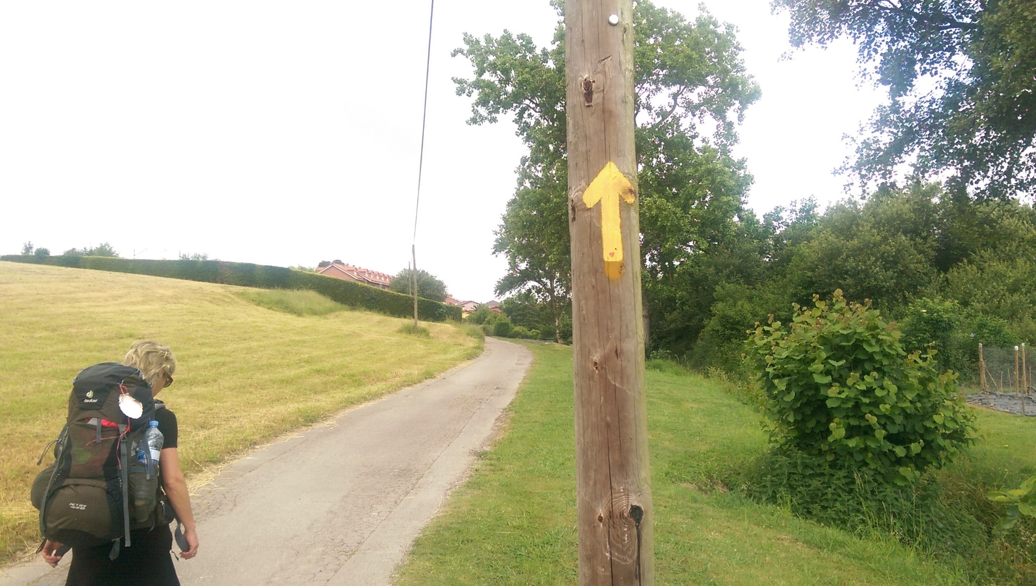 Pilger am Camino-Wegweiser