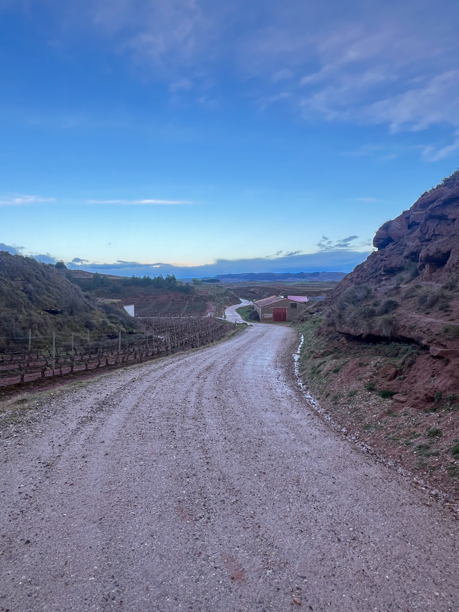 Ruhiger Weg durch eine Weinlandschaft
